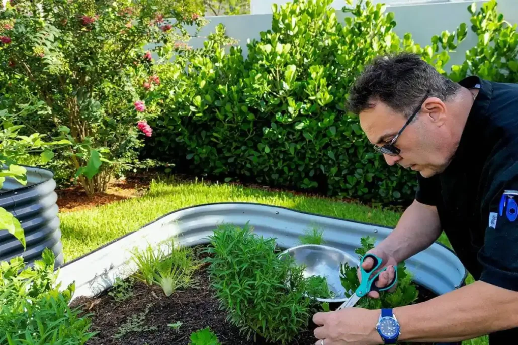 Therapeutic gardening for seniors: wellness and nature | Seaside